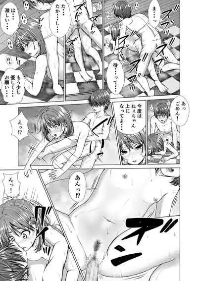 Houkei o Baka ni Shita Ane o Yatte Shimau Hanashi