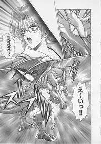 [Gun Ryuusei] Wakakusa Bishoujotai vol.4