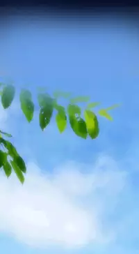 [Hong BanJang] Aharoo Ch.1-29 (English) (YoManga) (Ongoing)