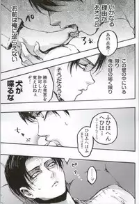 (C86) [Onjire (Tamy)] ONGRE2013 (Shingeki no Kyojin)