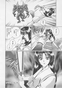 [Gun Ryuusei] Wakakusa Bishoujotai vol.4