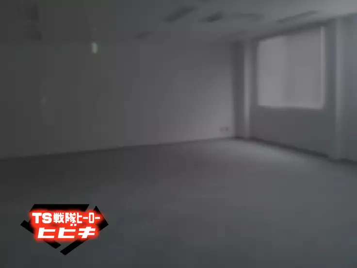 TS Sentai Hero Hibiki