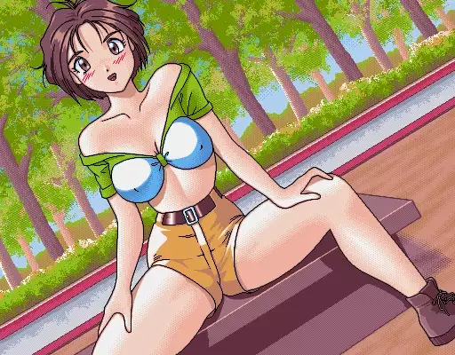 GRA-PRO Retro DoujinCG Set