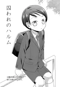 (COMITIA121) [Retroboy (Ono Akira)] Toraware no Harumu