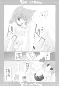(C68) [TAKANAEDOKO (Hiyoshi Ruma, Takanae Kyourin)] Cat walking (Doraemon)