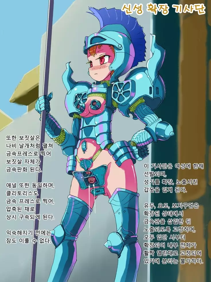 Shoujo Hiwai Soubi Shuu