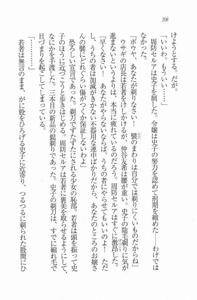 メイド喫茶 猫の隠れ家