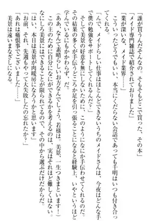 年上メイドの新婚日記