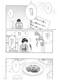 [inspi. (Izumi Rin)] kimitoboku (Neon Genesis Evangelion) [Digital]