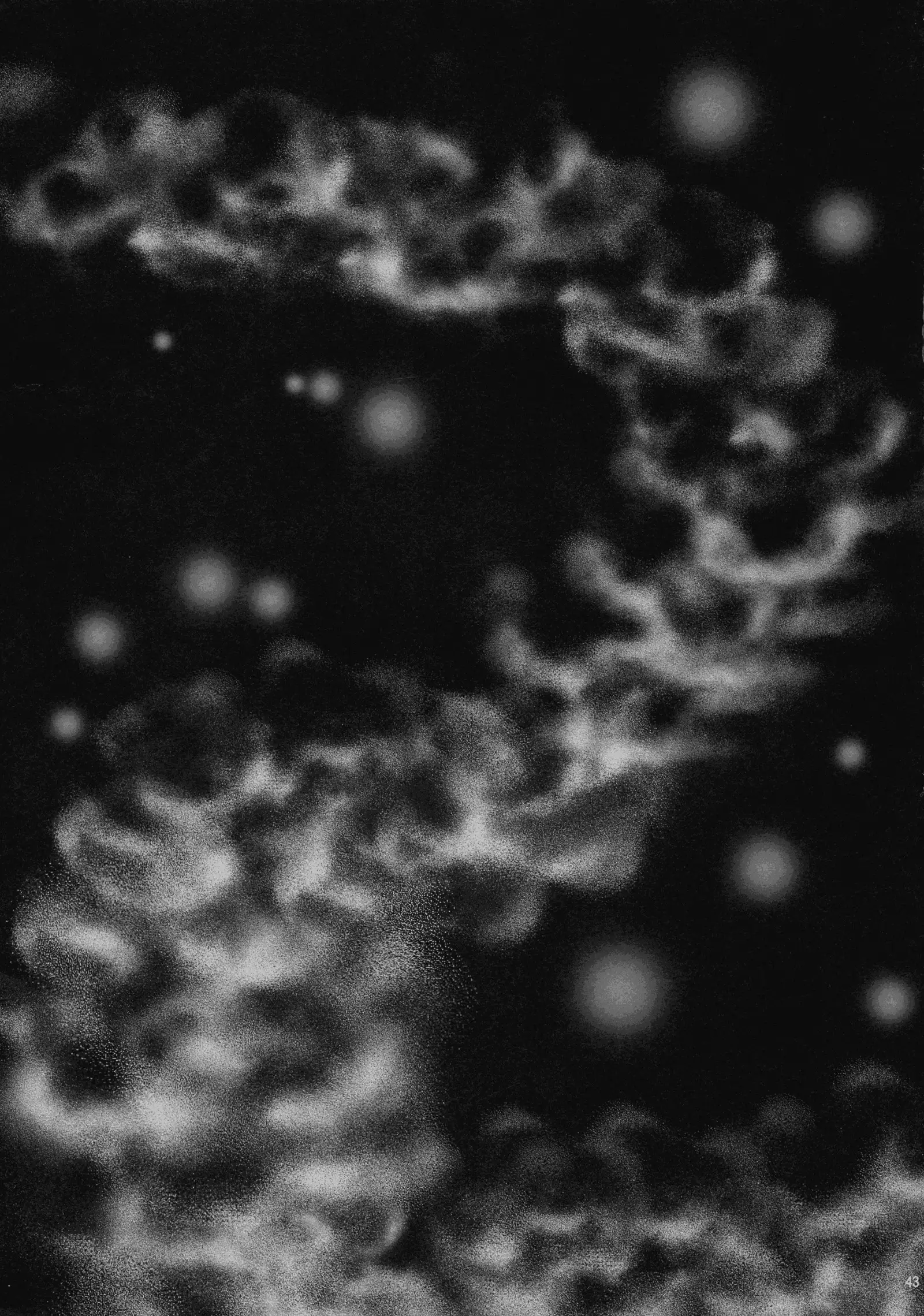 X∞MODEL ] GUND CUNNUM vol.1 Shussan Bokujou Kaiaruna-hen