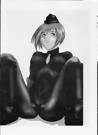 (C56) [Tail of Nearly (Various)] Shadow Defence 17 (Street Fighter)