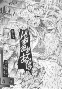 (SC33) [ERECT TOUCH (Erect Sawaru)] VALKYRIE SLAVE (Valkyrie Profile)