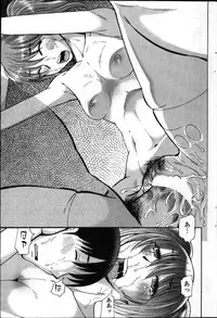 COMIC Penguin Club 2011-11