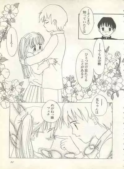 Shin Bishoujo Shoukougun 4 Houou hen