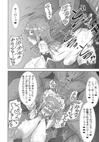 Raygis Valicess Elsain "Haimesu Shoukougun"