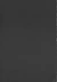 (C63) [CYCLONE (Izumi, Reizei)] Centris (Magic Knight Rayearth) [English] {SaHa}