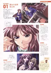 Natural 2 Duo Visual Fan Book