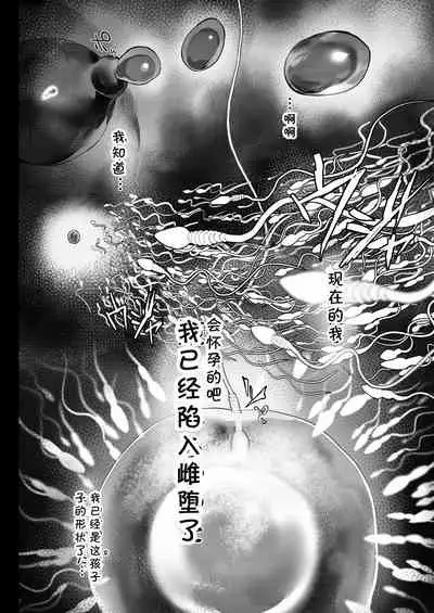 Oku-san to no Gokei Kankei