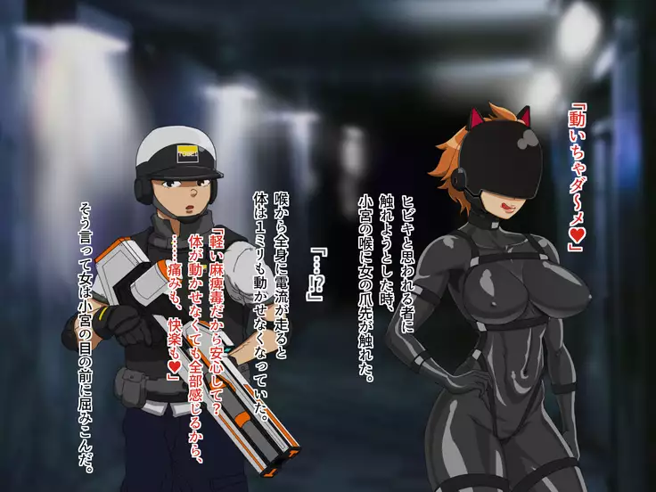 TS Sentai Hero Hibiki