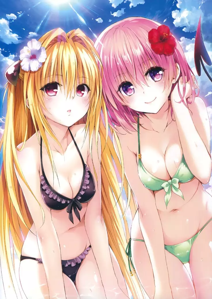 To Love-Ru -Trouble- Darkness Artbook Harem Gold