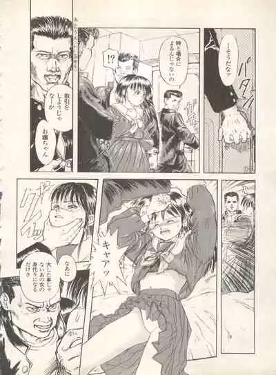 Shin Bishoujo Shoukougun 4 Houou hen