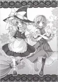 (C75) [Renge-dou (Miwatari Renge)] Nakadasarete Gensoukyou -Lunatic- (Touhou Project)