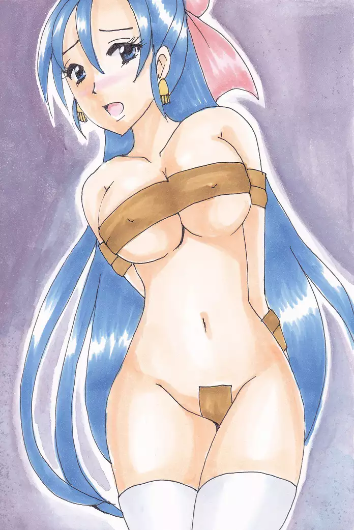 Dragon Quest V - Analog Illusts Vol.1