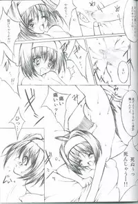 (SC17) [Fukunoren (Yukiwo)] Akuma Shugi (Sister Princess)