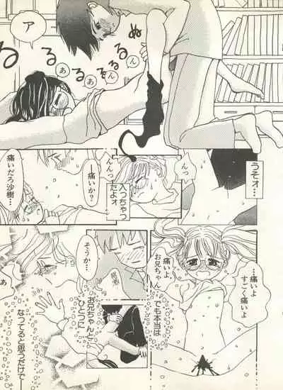 Shin Bishoujo Shoukougun 4 Houou hen