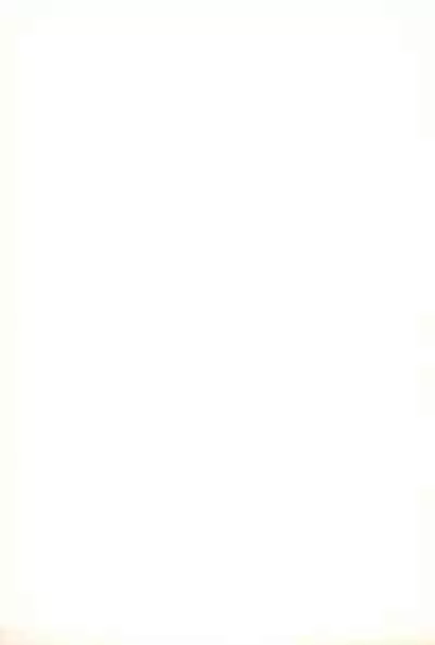 [Genki Honpo (Various)] Cherry Blossom II (Cardcaptor Sakura)