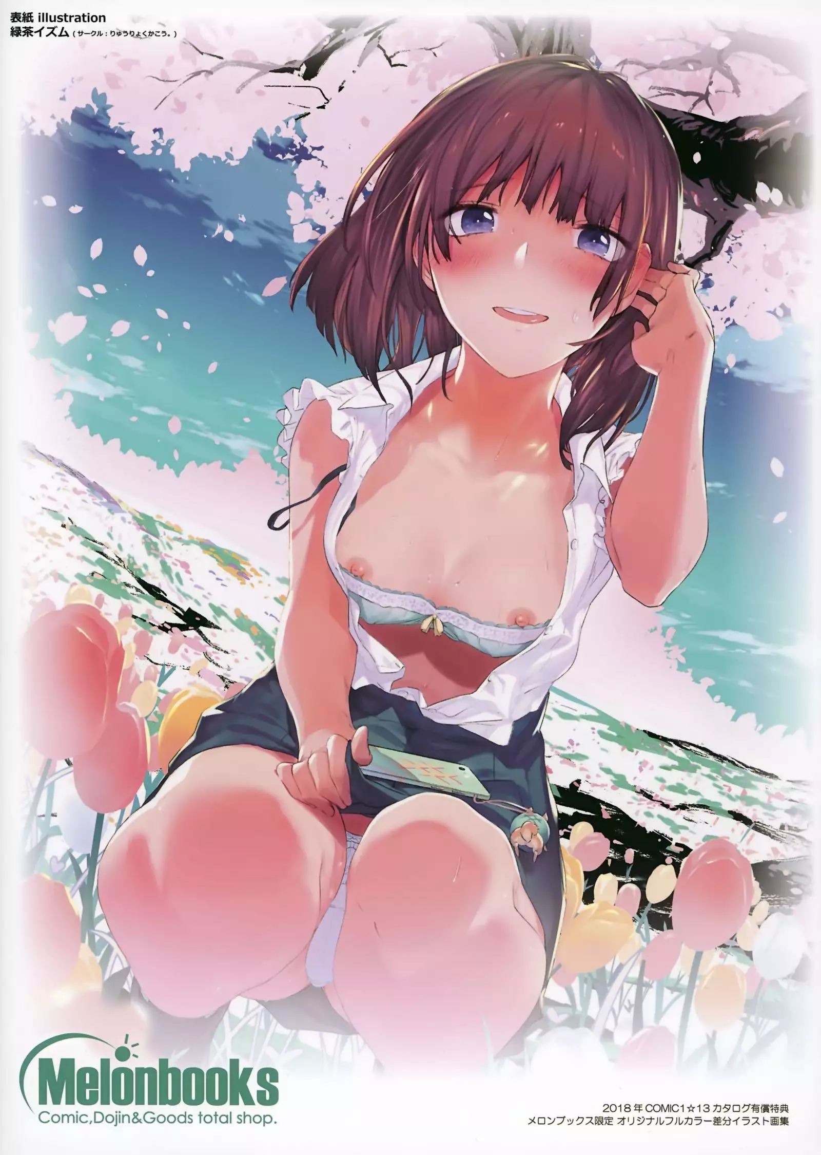 Melonbooks Collection of Pictures -another .ver-