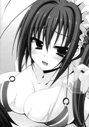 年上メイドの新婚日記