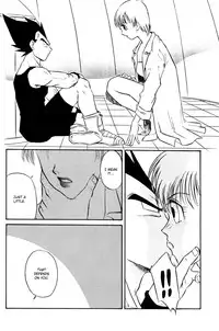 (C63) [Ryujin-kai (HITO Ribuki)] GIFT (Dragon Ball Z) [English] [Arigatomina]