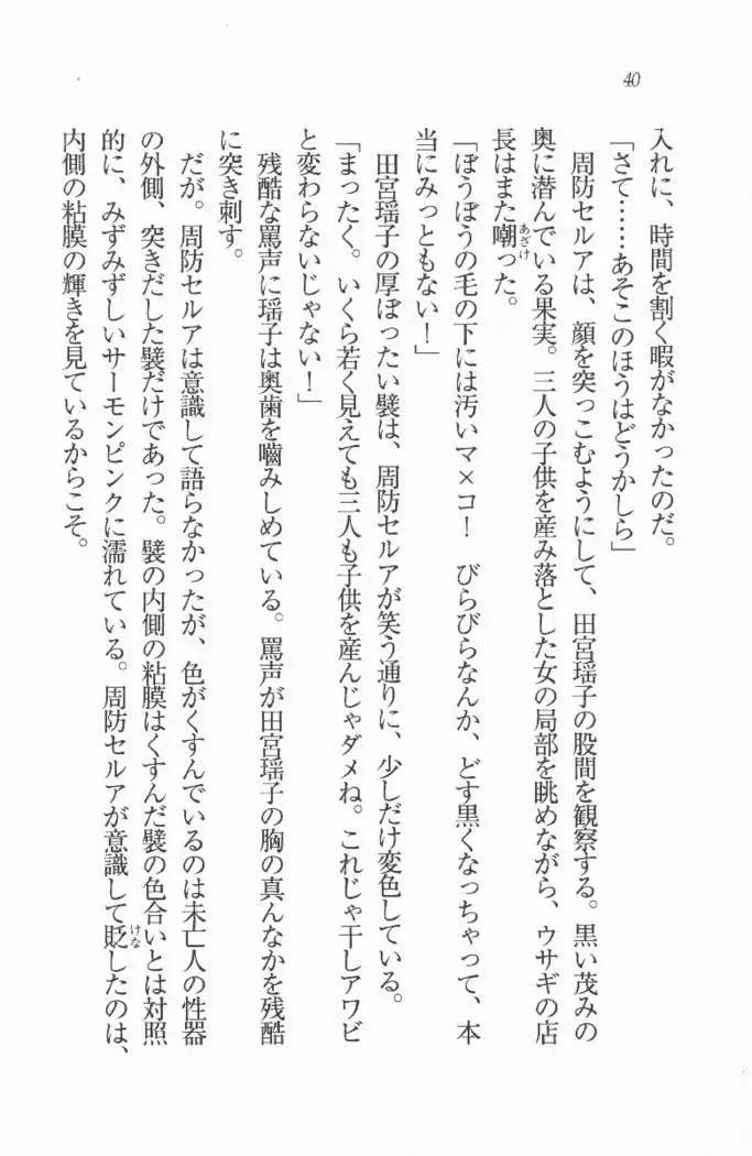 メイド喫茶 猫の隠れ家