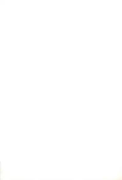 Kodomo de Challenge 2