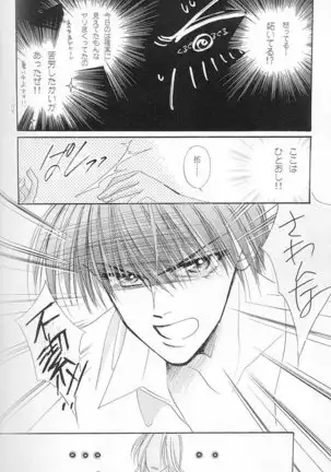 Papa Wa Musician Mama Wa J-Leaguer 2