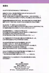 (C77) [Schwester (Shirau Inasaki) Rollin 32 (Touhou Project)