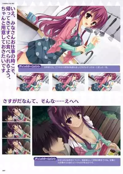 DRACU-RIOT! Official Visual Fan Book