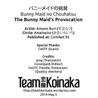 Bunny Maid no Chouhatsu | The Bunny Maid's Provocation