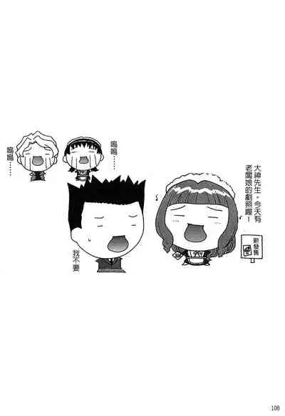 The Flower In Paris 2