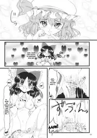 (C78) [LeimkissA (Nekohane Ryou)] Kouhaku Tenchuu (Touhou Project) [English] [desudesu]