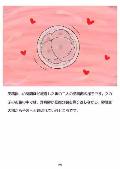 Sex Education for Adolescents Very Pleasant Pregnancy Sex Story