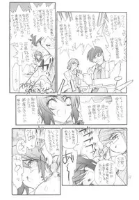 (C68) [Akai Marlboro (Aka Marl)] Lunamaria-sama Ikimaasu (Gundam Seed Destiny)