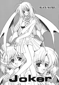 (C54) [JOKER TYPE(Nishimata Aoi)] Joker