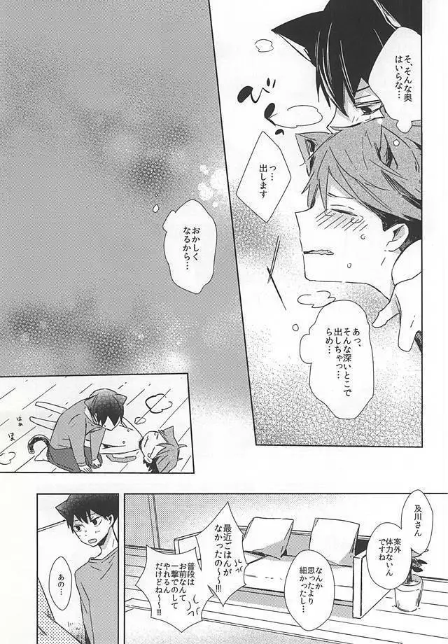 猫になった及川さん