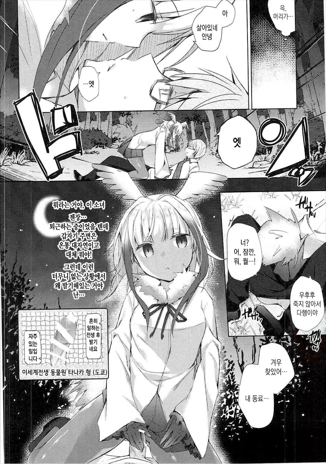 Kedamono Friends | 짐승 프렌즈