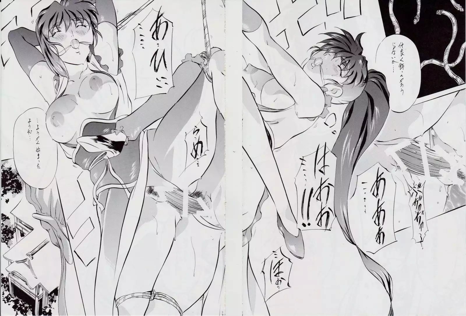 Ai & Mai DSII