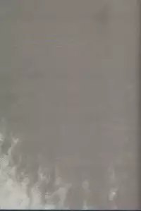 (C86) [Cyclone (Izumi, Reizei)] T-20 Fei Tas (Mahou Shoujo Lyrical Nanoha)