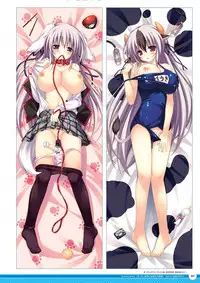 Zettai Series Visual Zenshuu (Complete Collection)