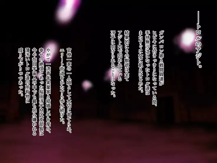 TS Sentai Hero Hibiki